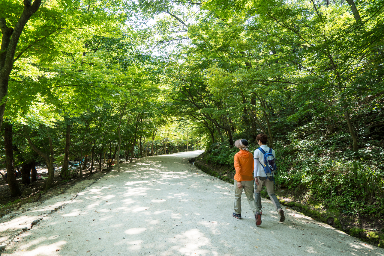 강천산 군립공원