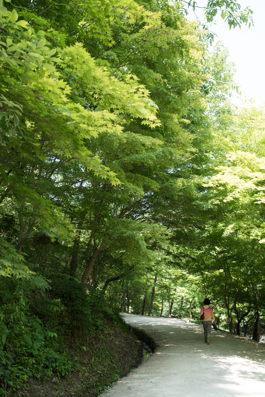 강천산 군립공원