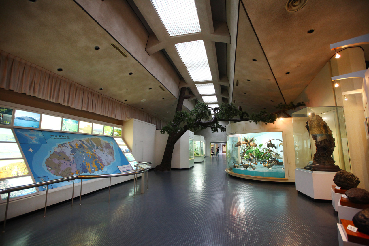 제주도민속자연사박물관