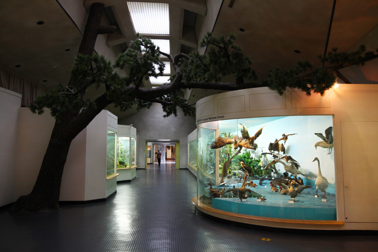 제주도민속자연사박물관