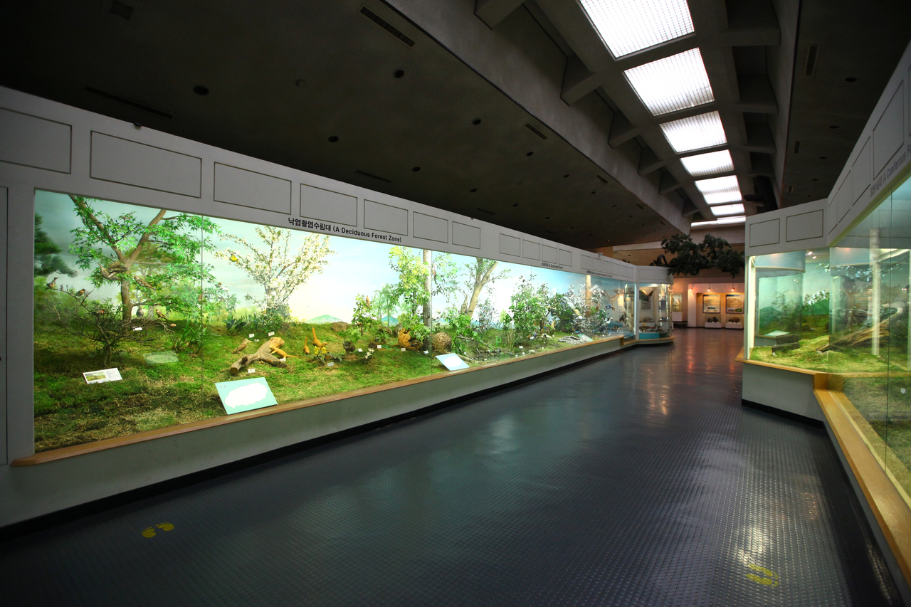 제주도민속자연사박물관