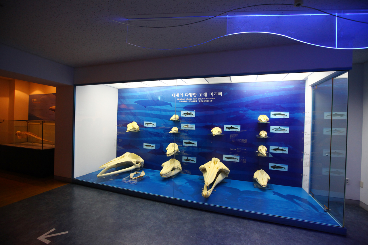 제주도민속자연사박물관