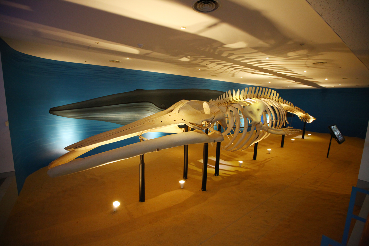 제주도민속자연사박물관