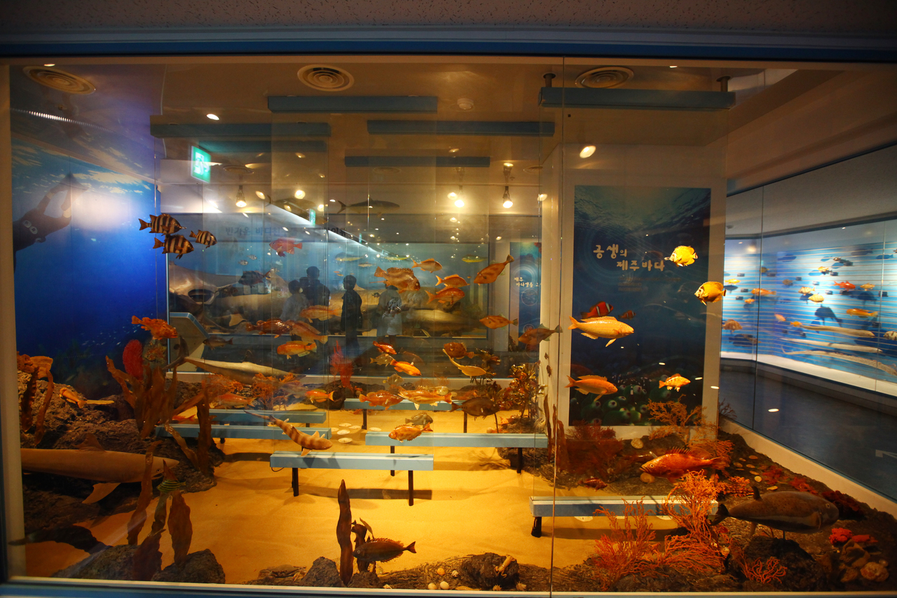 제주도민속자연사박물관