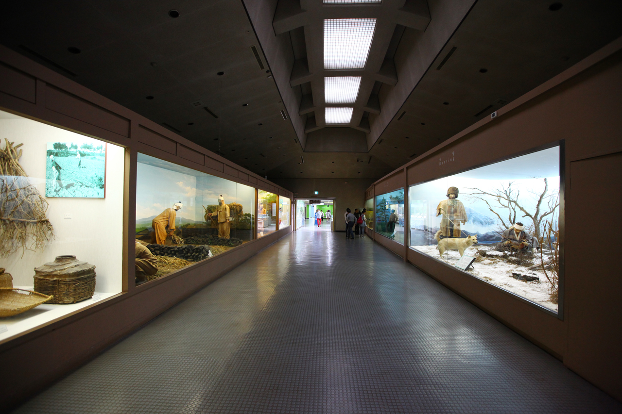 제주도민속자연사박물관