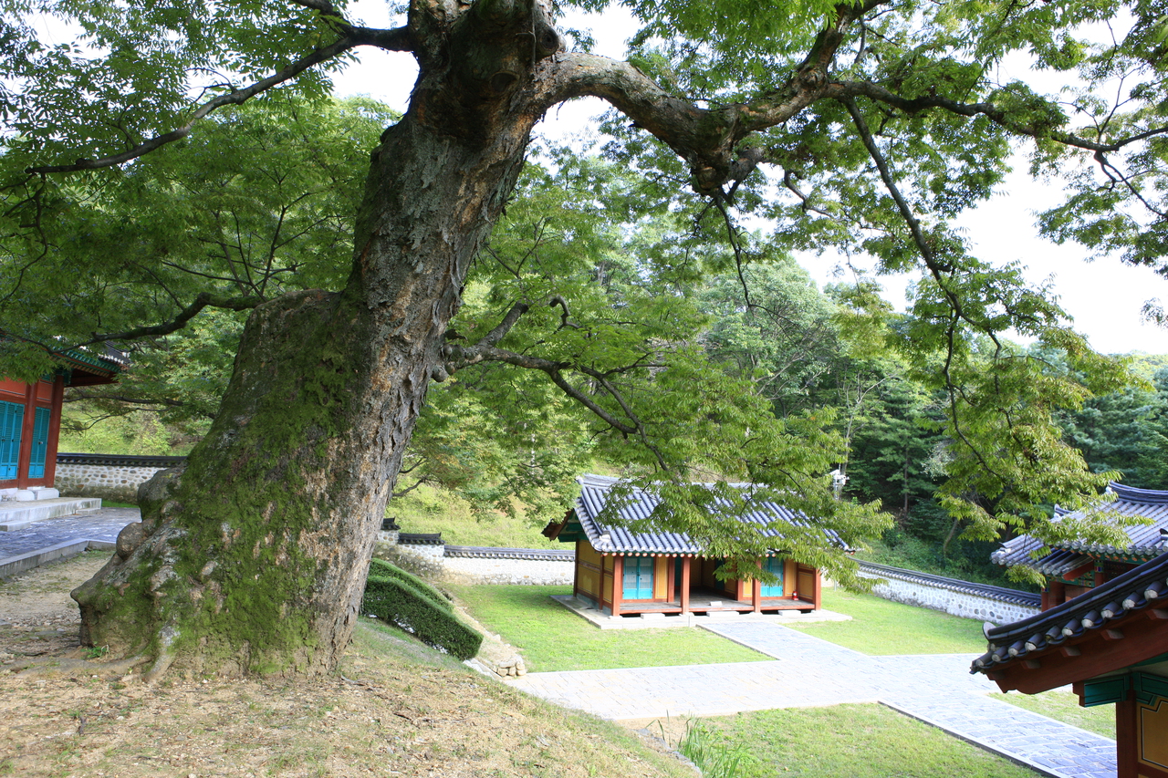 율곡선생유적지