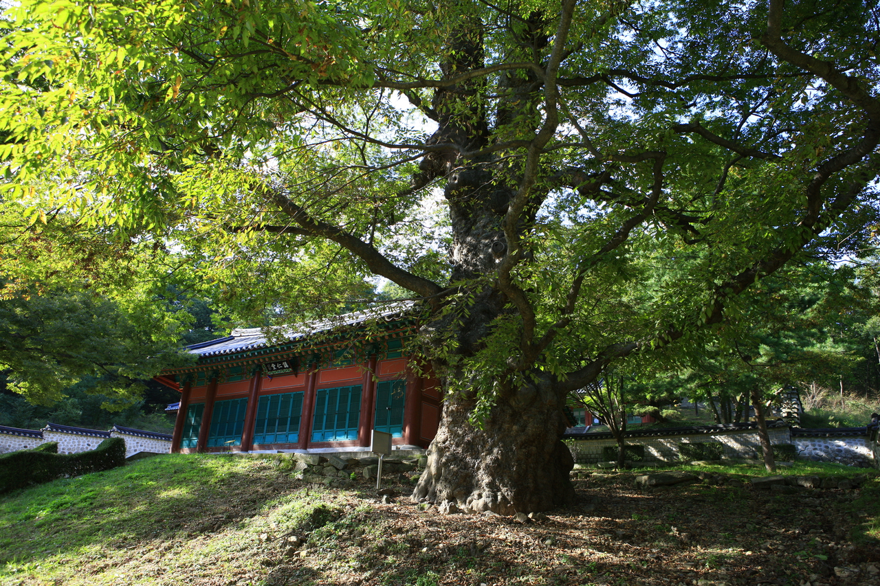 율곡선생유적지