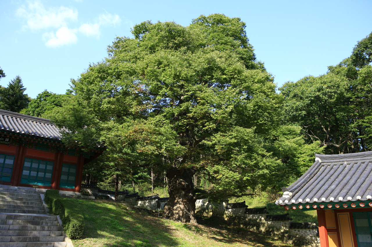율곡선생유적지
