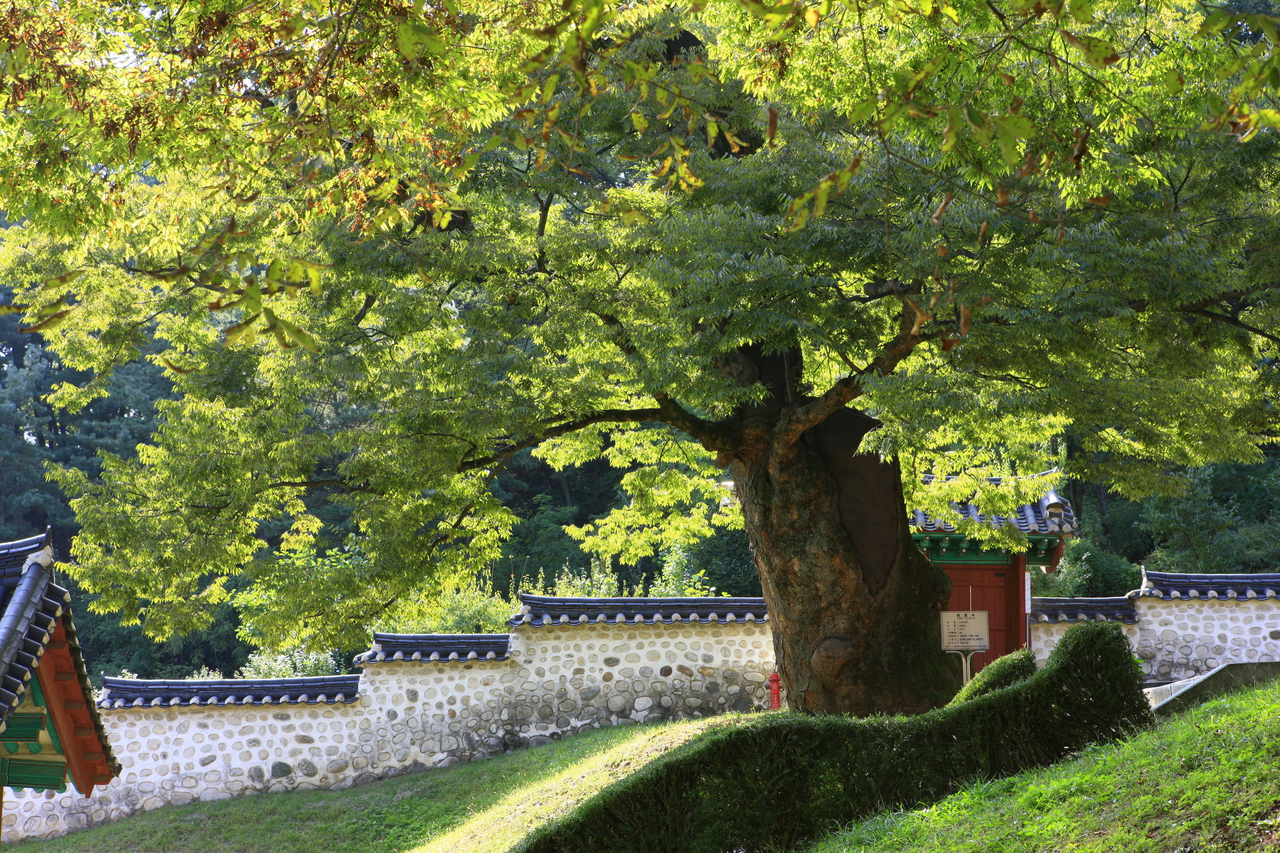 율곡선생유적지