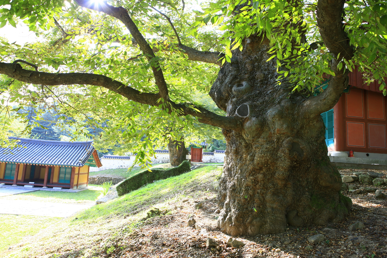 율곡선생유적지