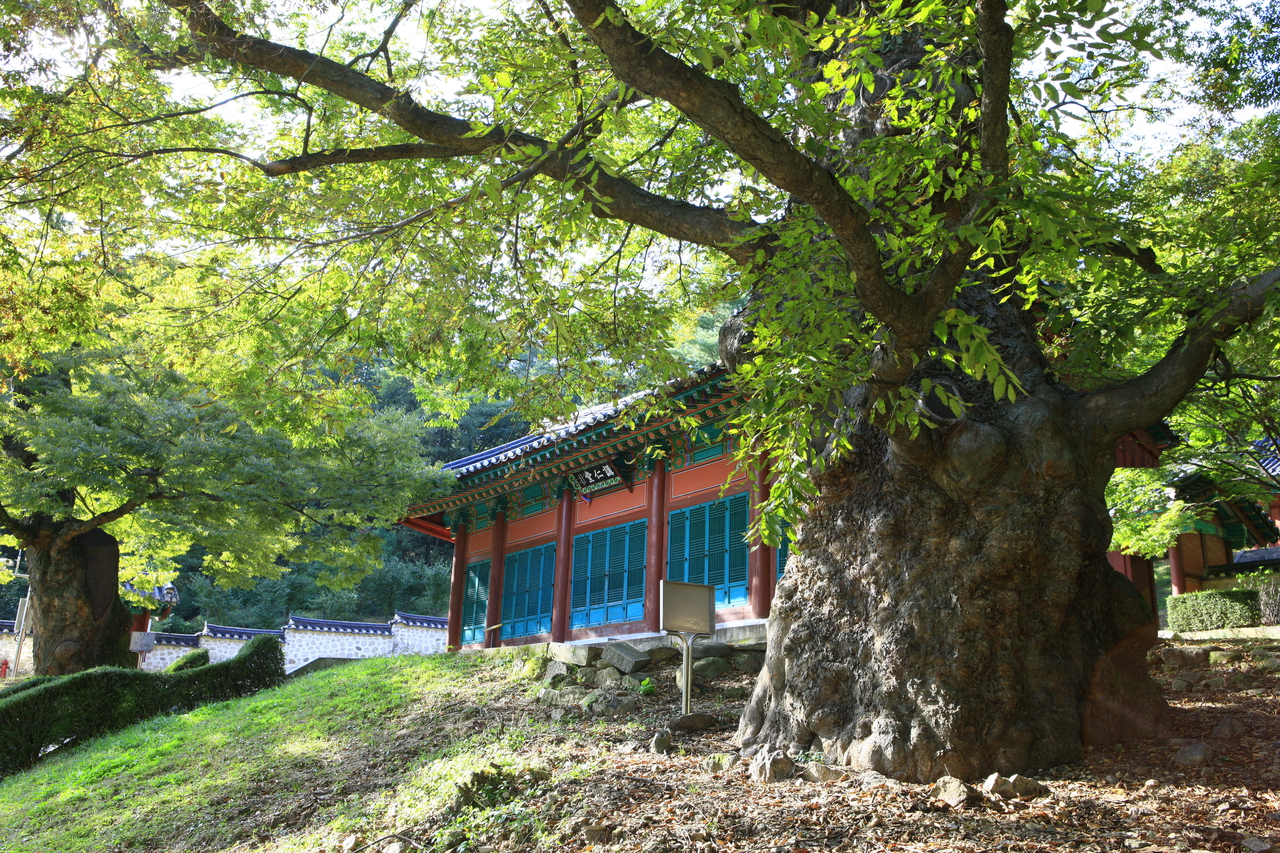 율곡선생유적지