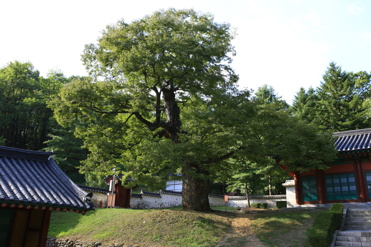 율곡선생유적지