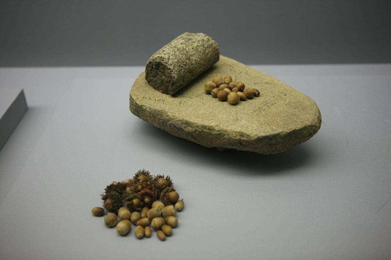 오산리선사유적박물관