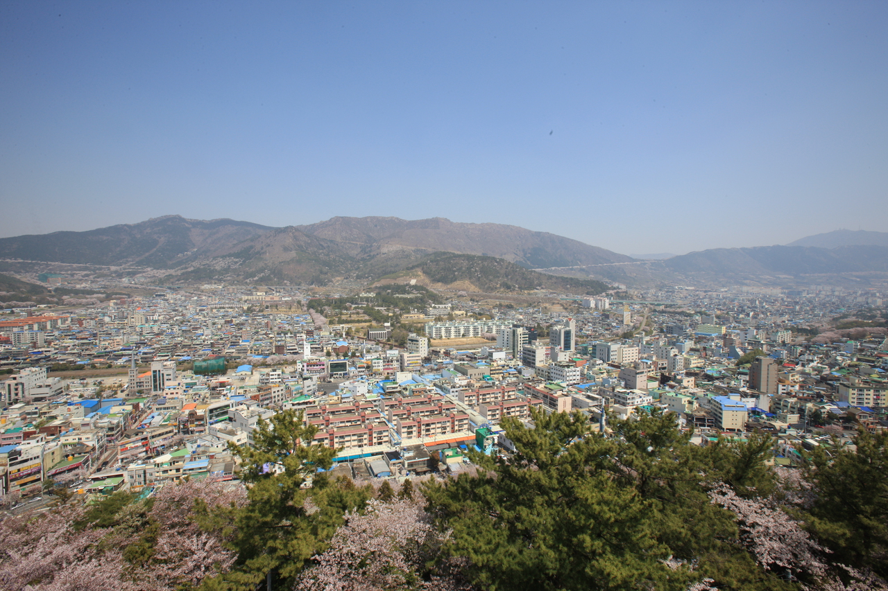 제황산공원