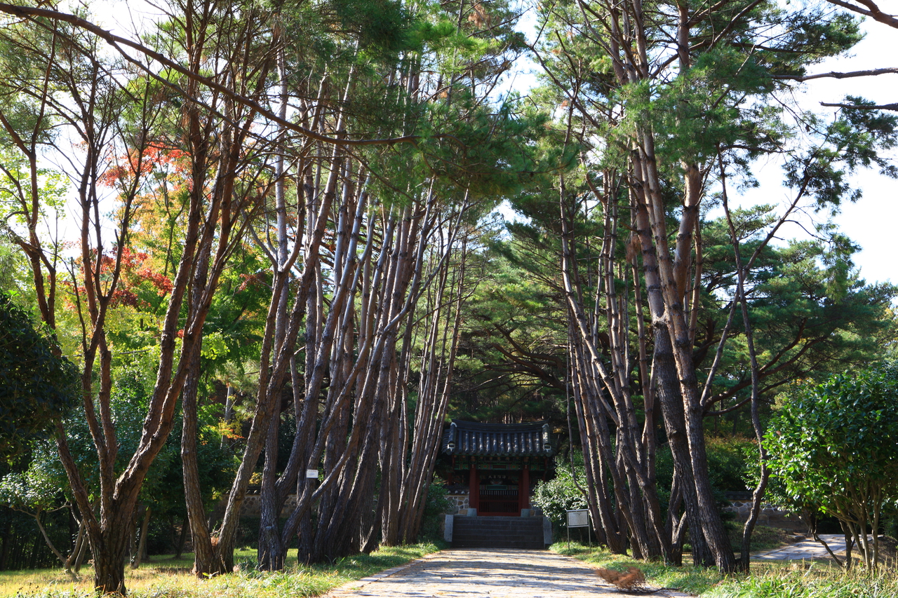 관음포 이충무공 전몰유허