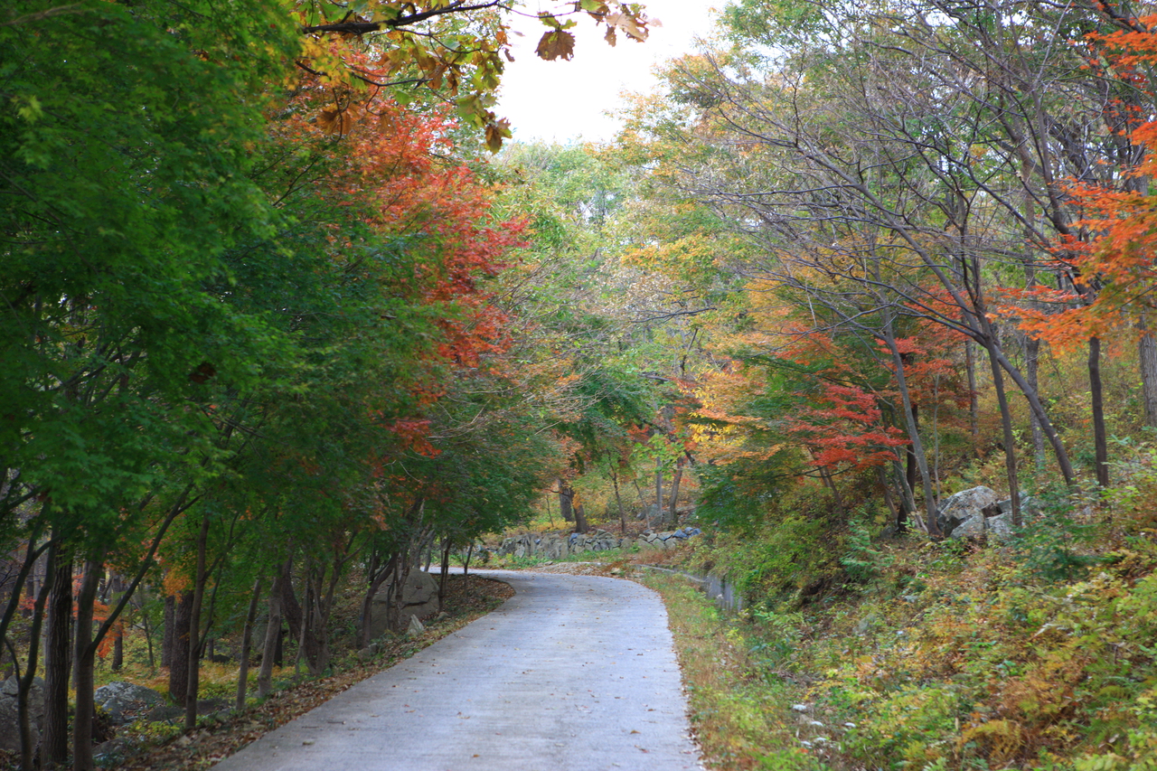제암산자연휴양림