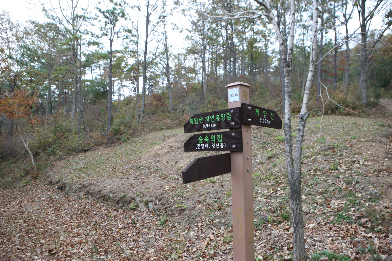 제암산자연휴양림
