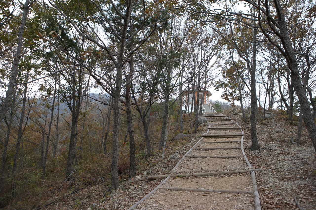 제암산자연휴양림