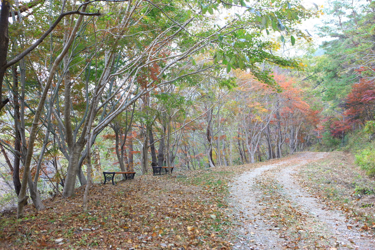 제암산자연휴양림