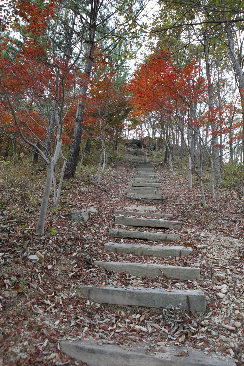 제암산자연휴양림