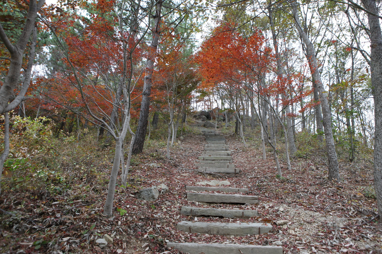 제암산자연휴양림