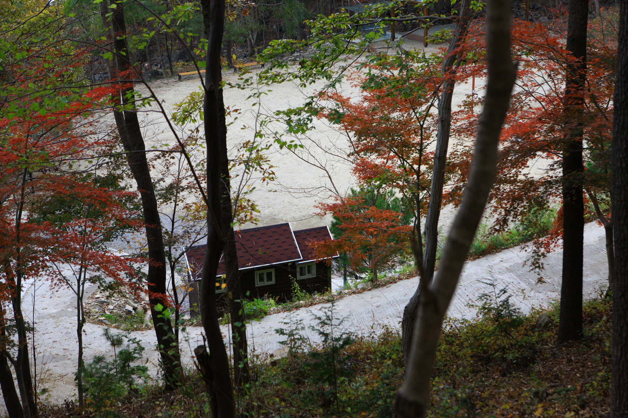 제암산자연휴양림