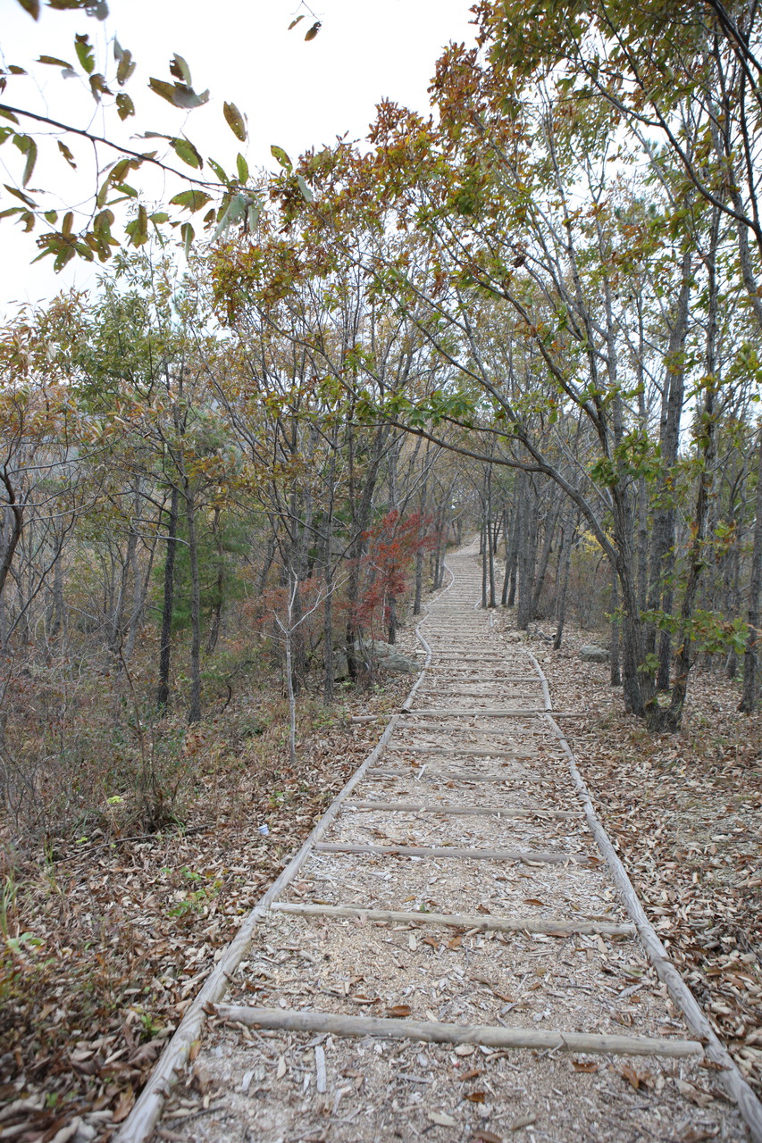 제암산자연휴양림