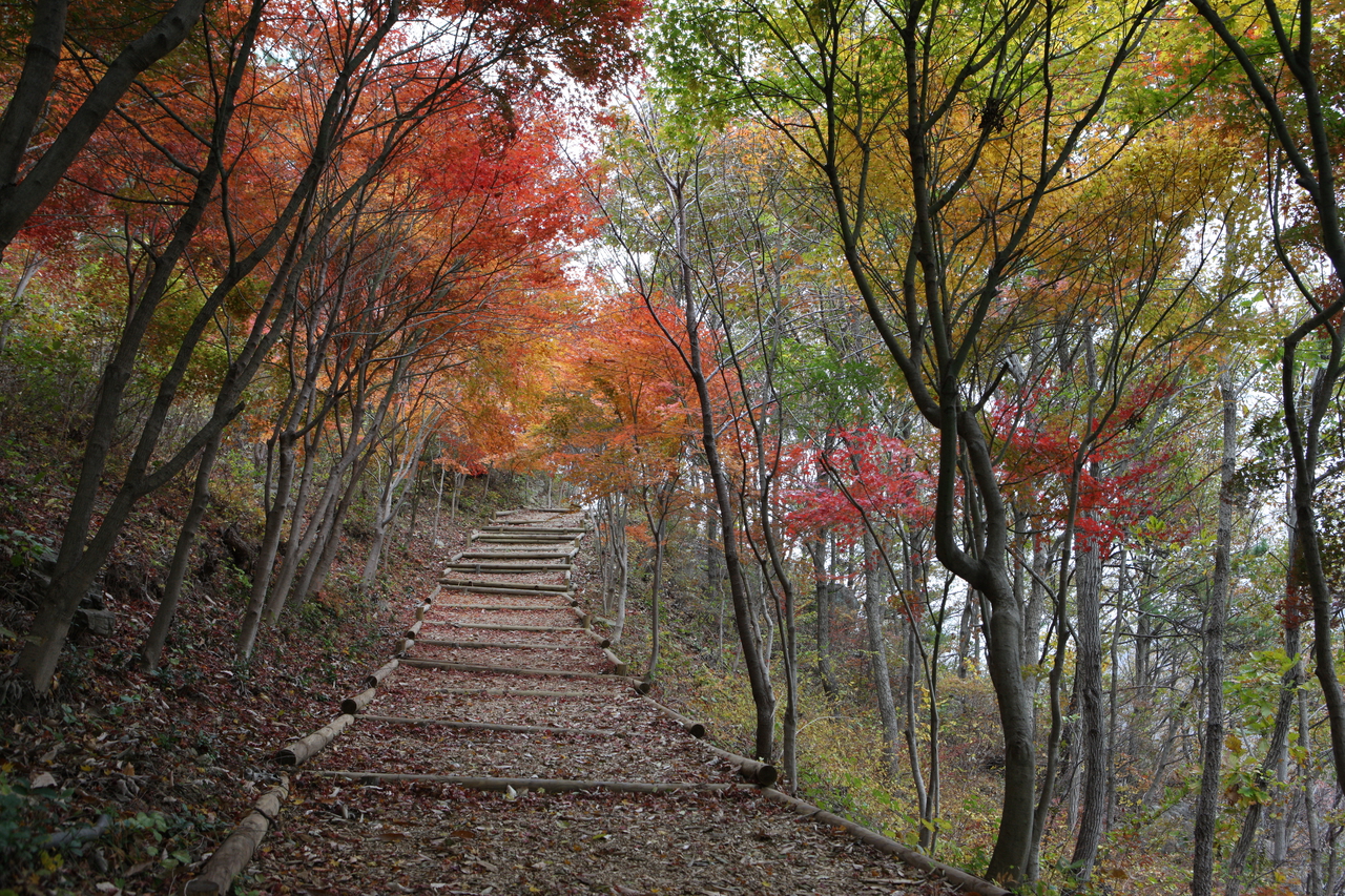 제암산자연휴양림