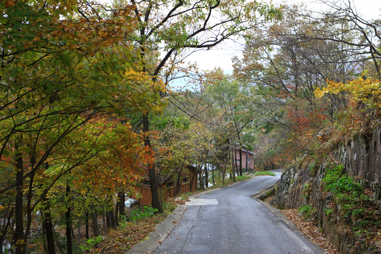 제암산자연휴양림