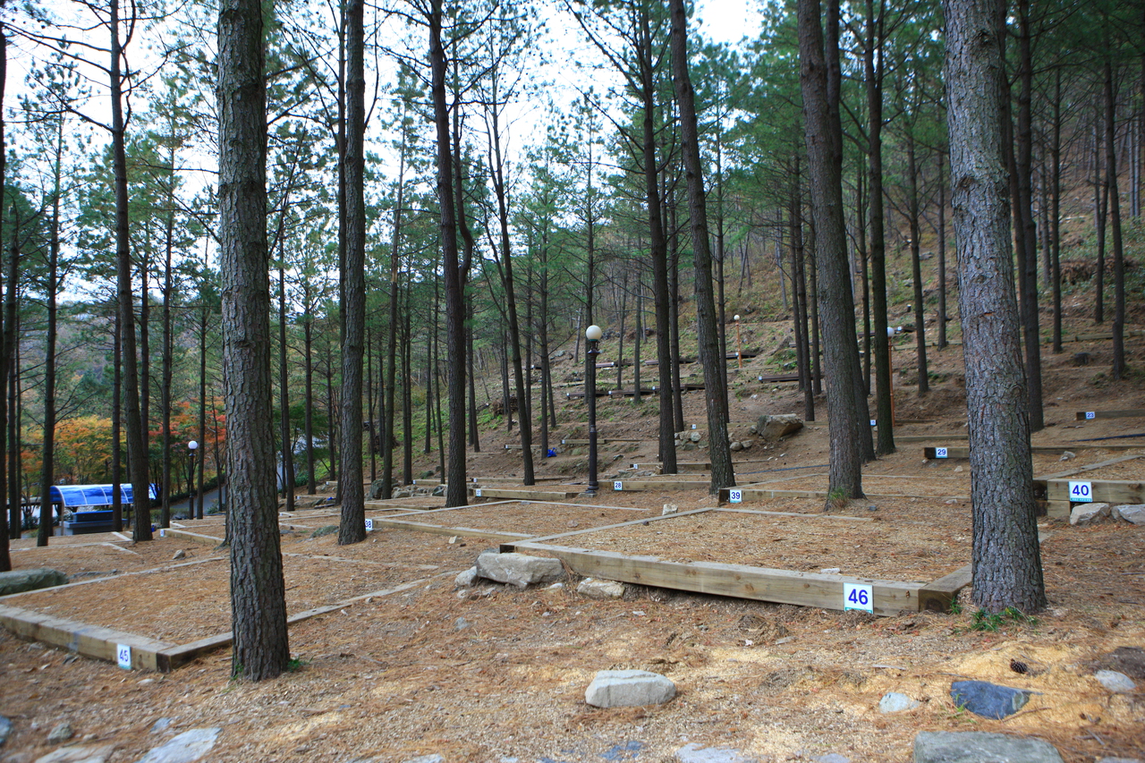 제암산자연휴양림