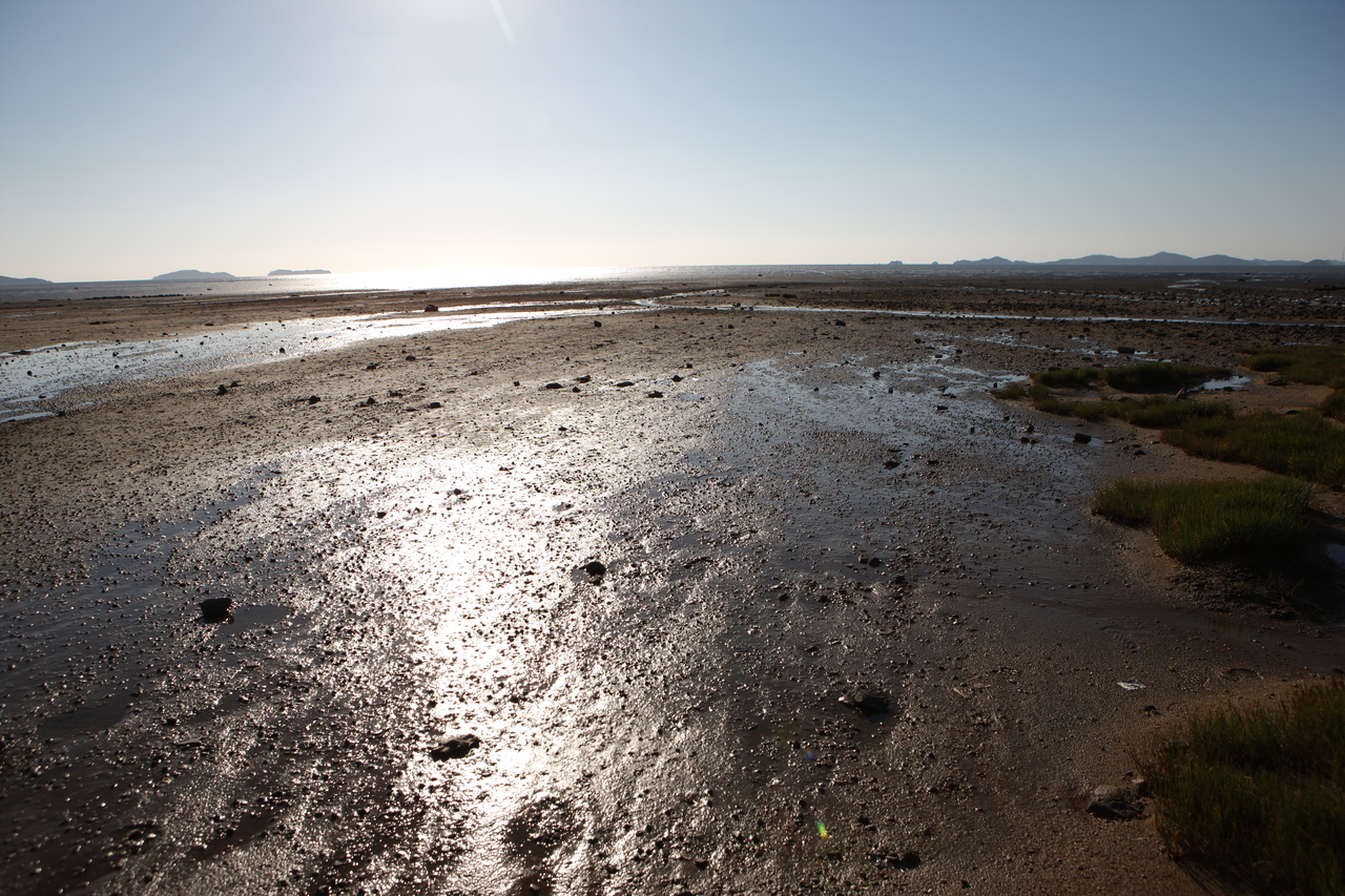 장화리 갯벌