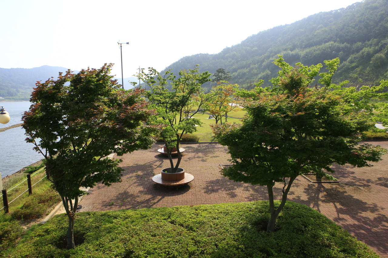 불갑저수지수변공원