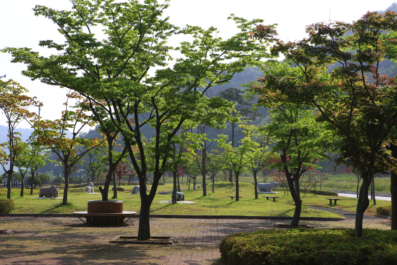 불갑저수지수변공원
