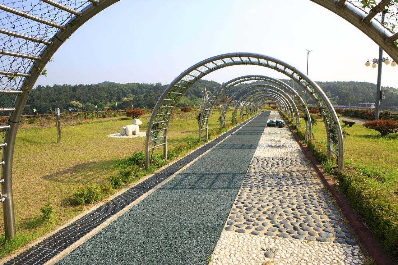 불갑저수지수변공원