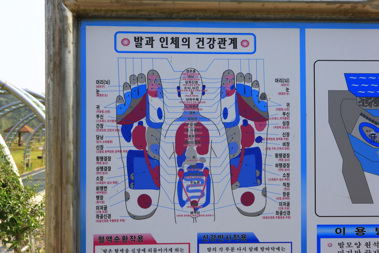 불갑저수지수변공원