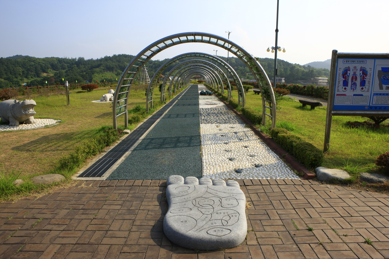 불갑저수지수변공원