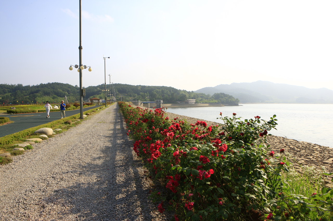 불갑저수지수변공원