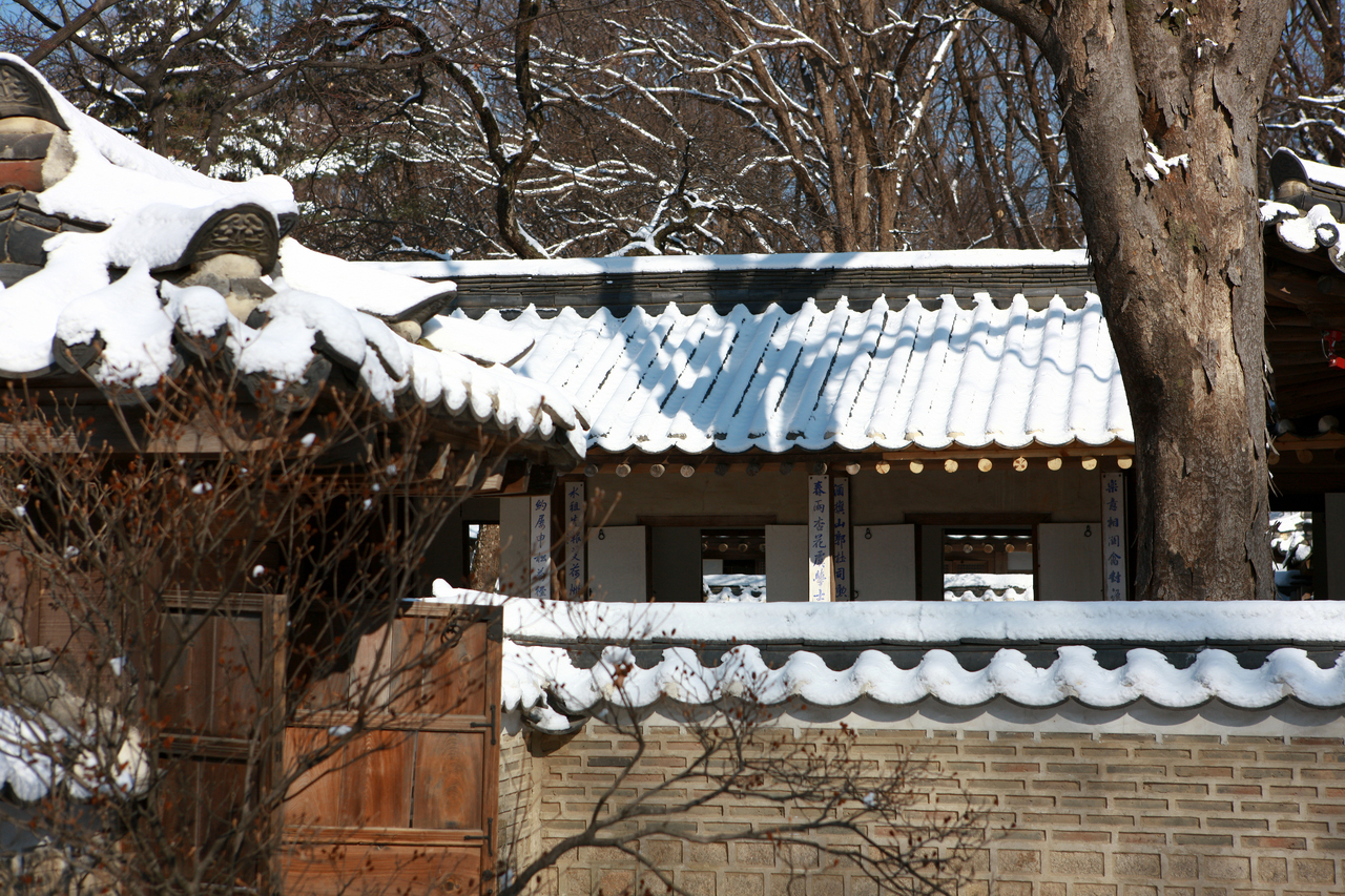 창덕궁 후원 겨울