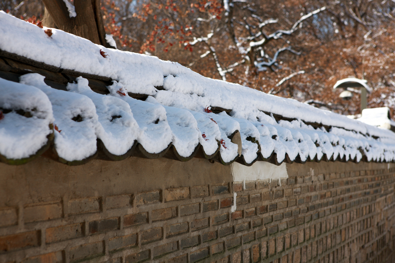 창덕궁 후원 겨울