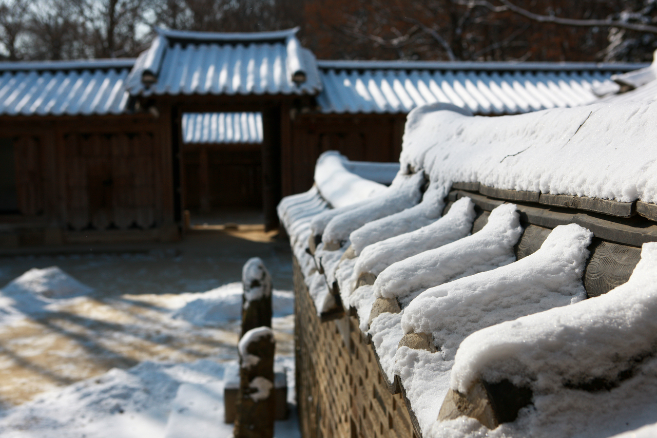 창덕궁 후원 겨울