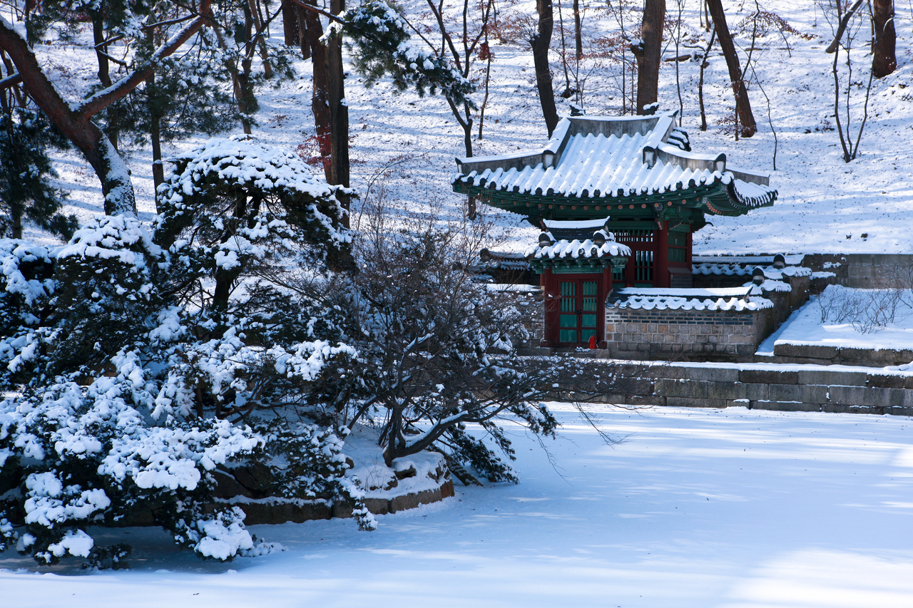 창덕궁 후원 겨울
