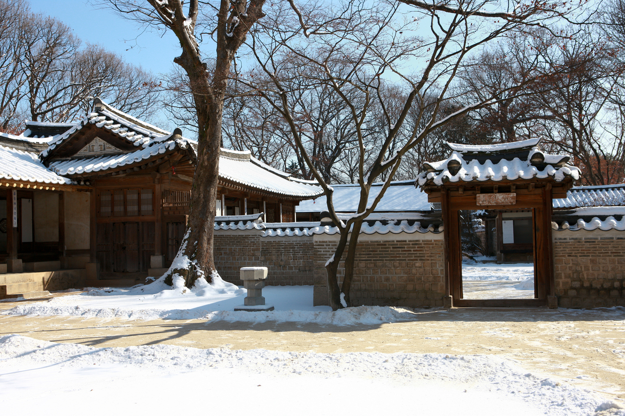 창덕궁 후원 겨울