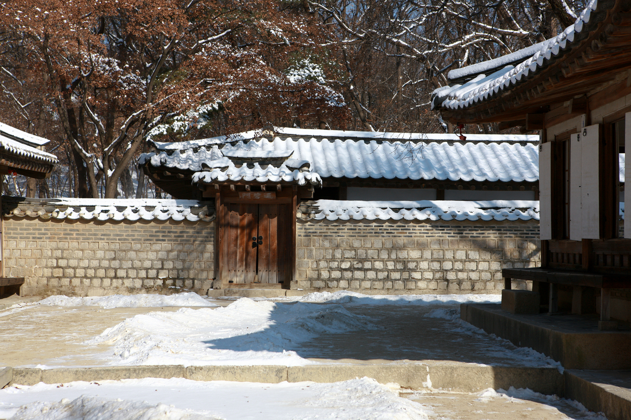 창덕궁 후원 겨울