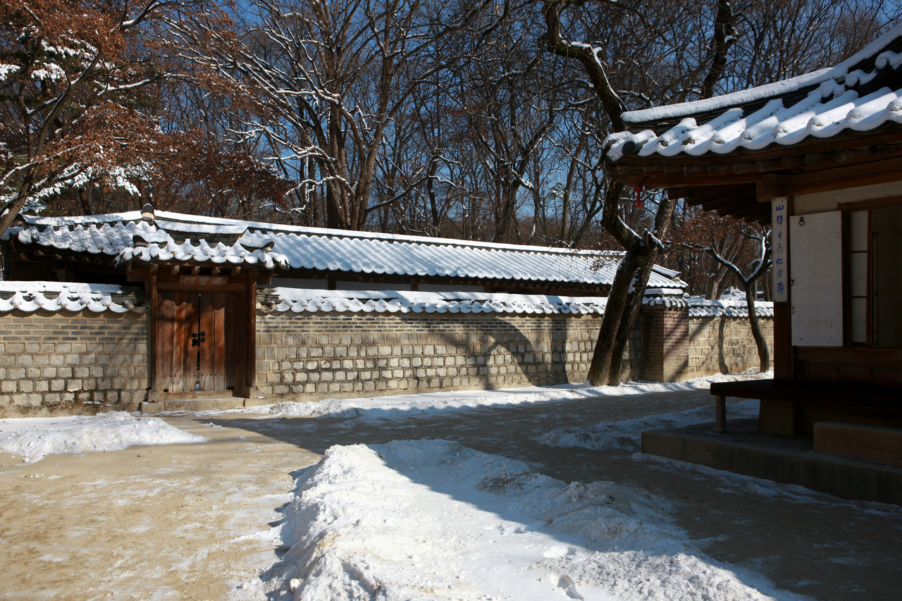 창덕궁 후원 겨울