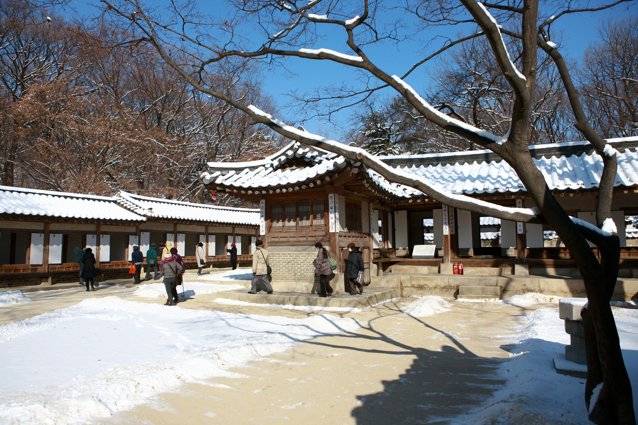 창덕궁 후원 겨울