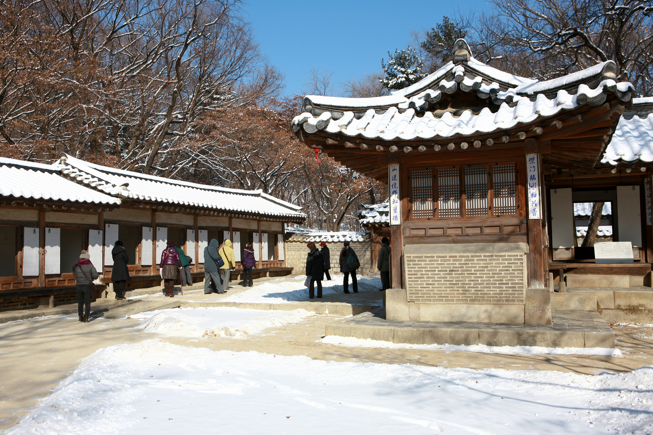 창덕궁 후원 겨울