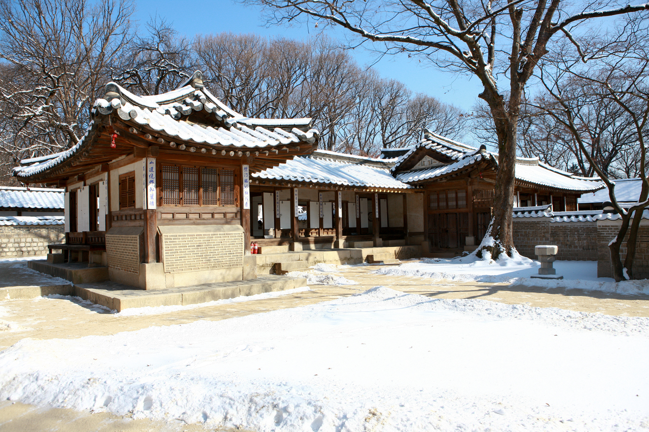 창덕궁 후원 겨울