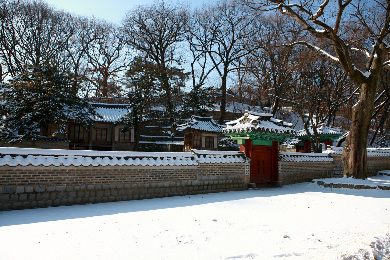 창덕궁 후원 겨울
