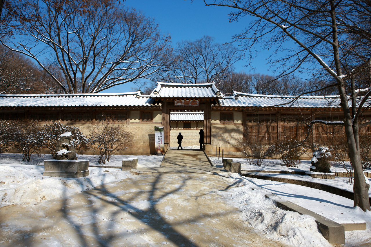 창덕궁 후원 겨울