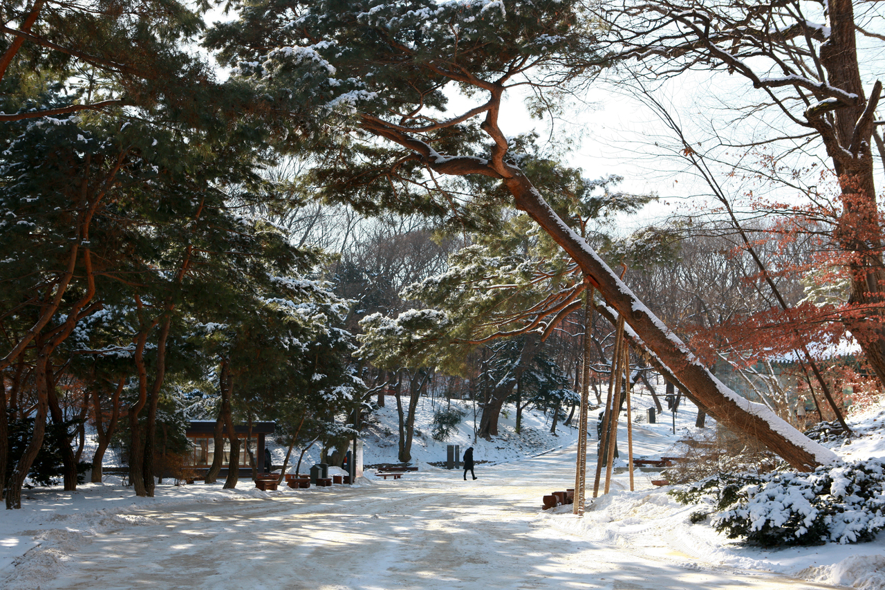 창덕궁 후원 겨울